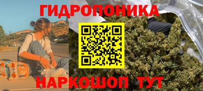 стафф Заводоуковск
