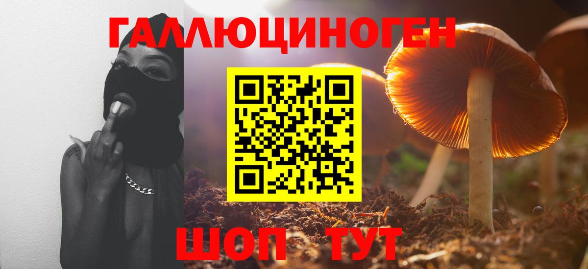Псилоцибиновые грибы MAGIC MUSHROOMS Лысьва